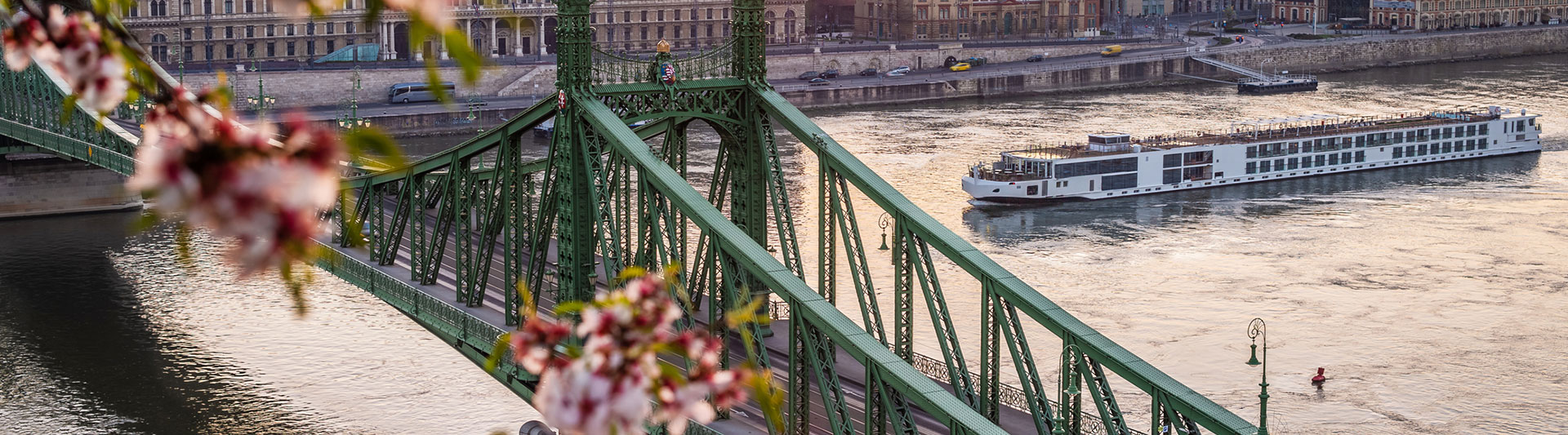 River cruise ship passing under the green Liberty Bridge in Budapest, framed by blossoms